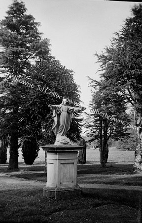 WALKS IN GARDEN SACRED HEART STATUE(W.DOYLE'S)